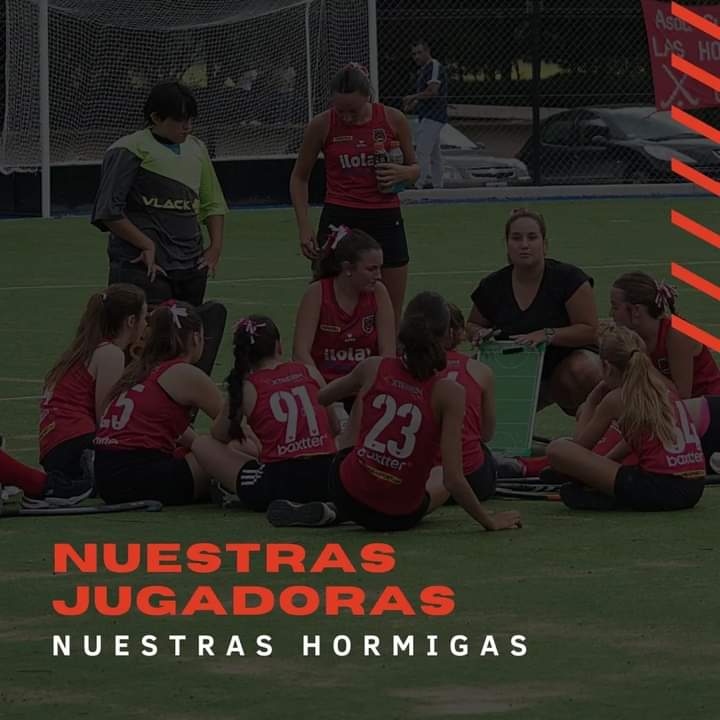 Las hormigas